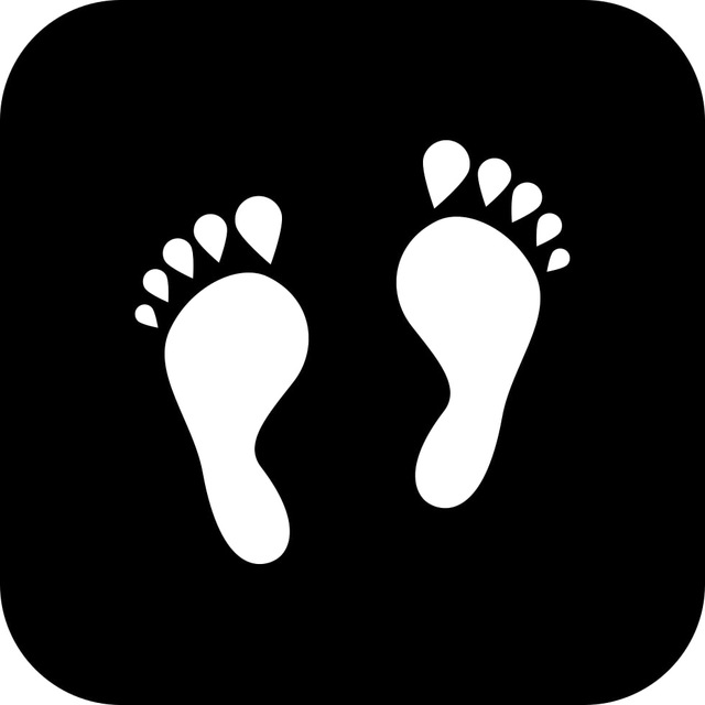 Веб Следопыт | OSINT | HUMINT