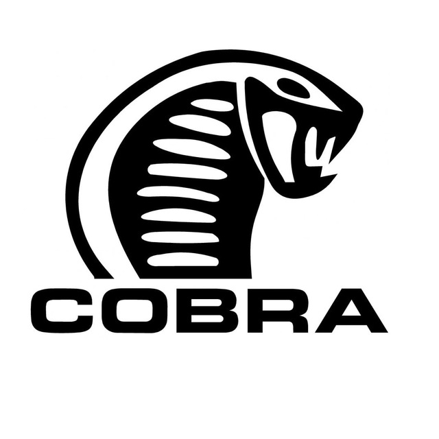 MMA COBRA