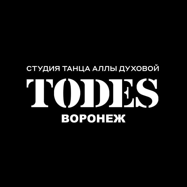 TODES Воронеж | Студия-школа
