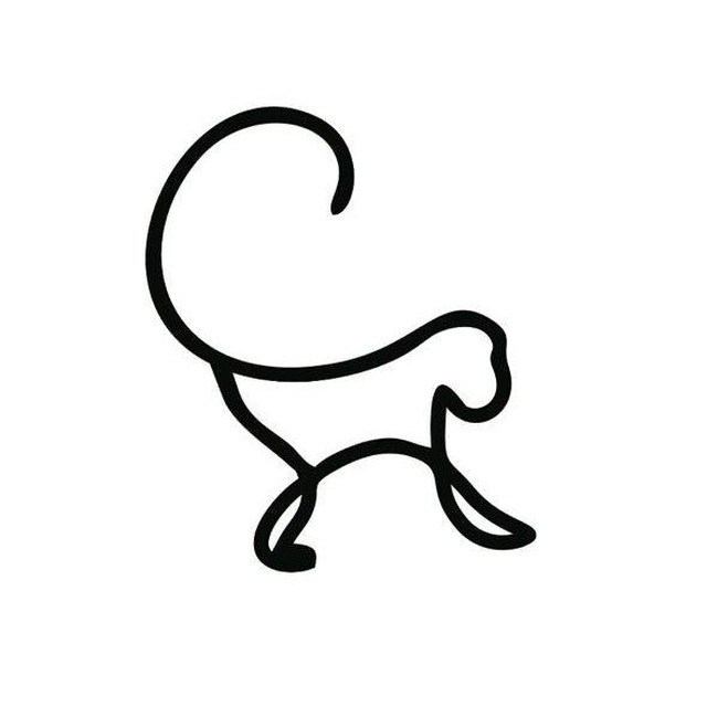 WHITE MONKEY | БЕЛАЯ ОБЕЗЬЯНА