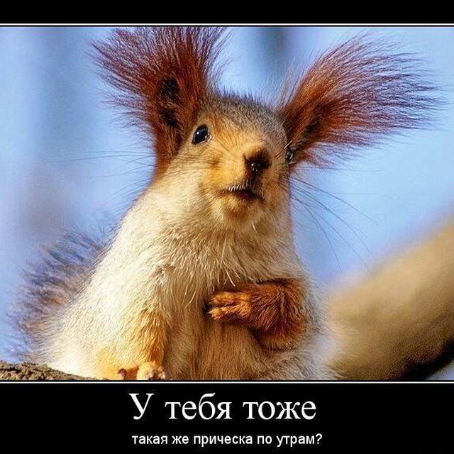 Юмор? ?? Не до юмора...