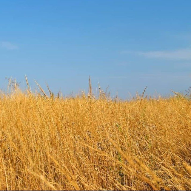 Подземный полёт