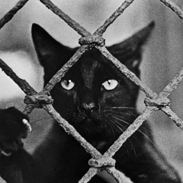 Восточная Пруссия