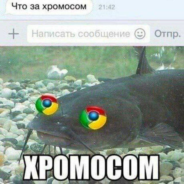 Пары СОМиКОв ?