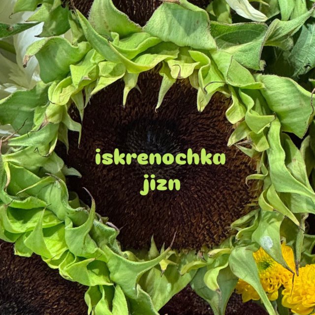 ISKRENOCHKA JIZN