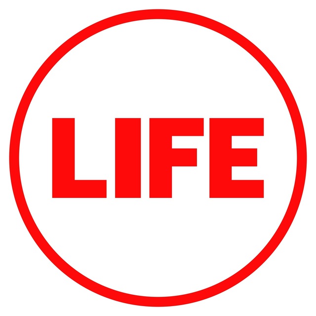 Life Games  News — @LifeGamesNews Telegram-kanali — TGStat