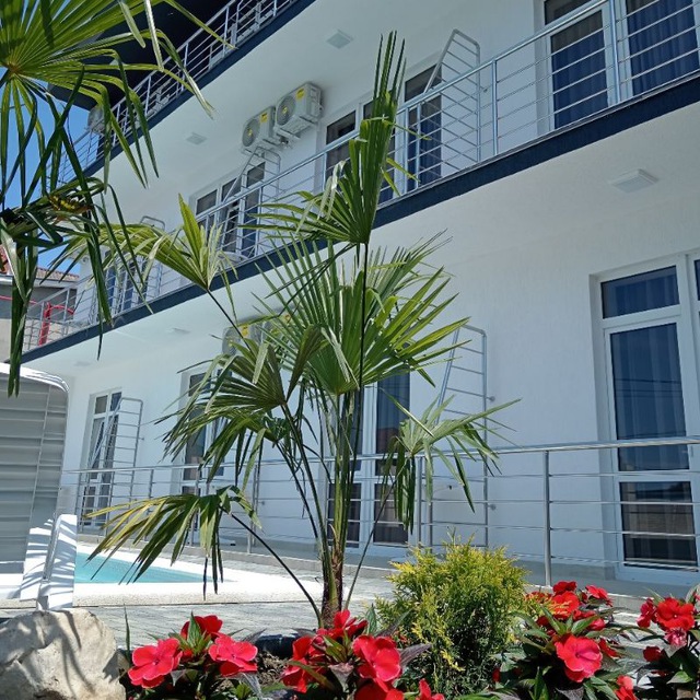 МИРАМАР- гостевой дом