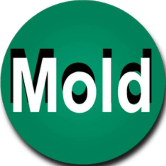 Moldfootball.com