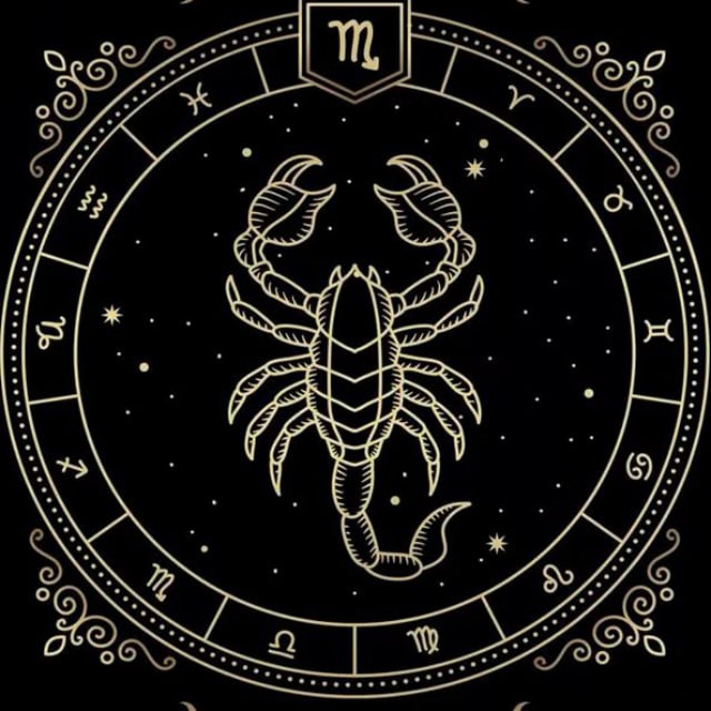 Скорпион ♏️