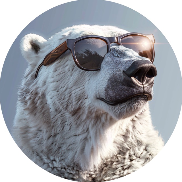 Биполярный медведь