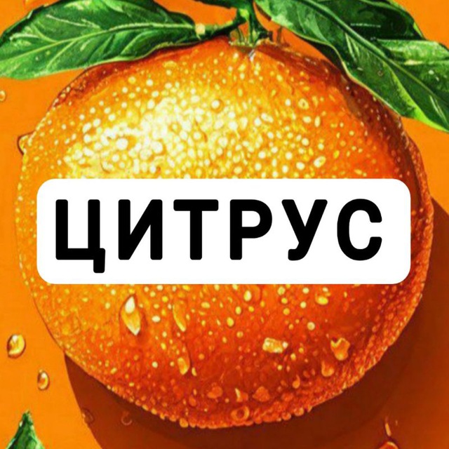 ЦИТРУС Сеть магазинов бытовой техники