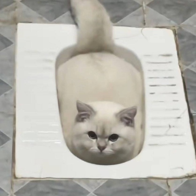 кринжетерапия