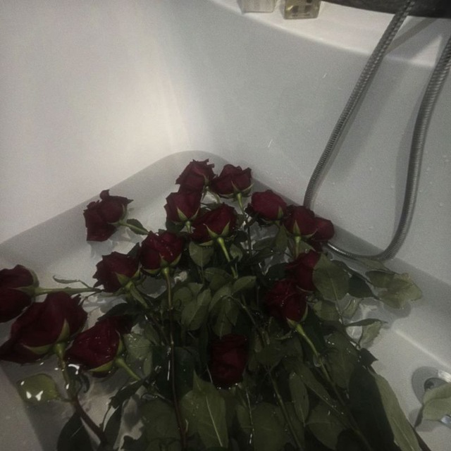 батлы внешек!! 》