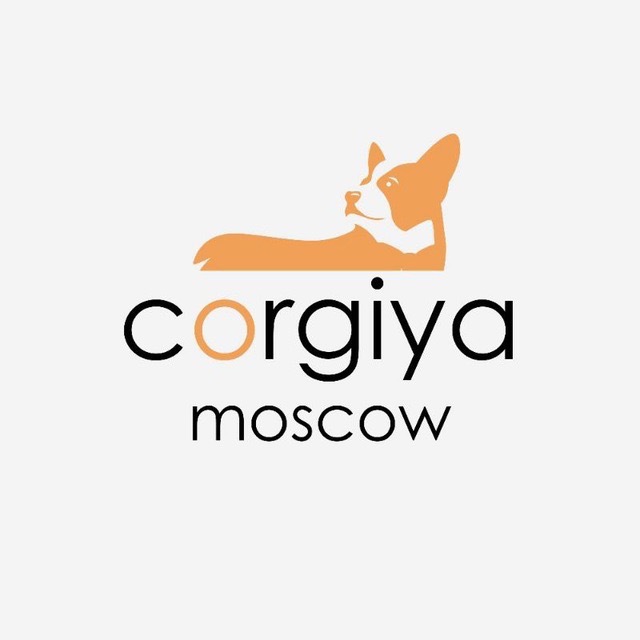 Corgiya Info