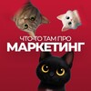 Что-то там про маркетинг