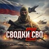 СВОДКИ СВО | Z