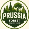 PrussiaForest