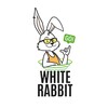 WhiteRabbit_Go