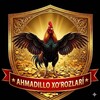 Ahmadillo 🐓XO’ROZLARI🐥N1