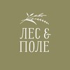 Мастерская «Лес и Поле», канал