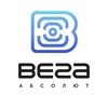 Вега-Абсолют
