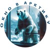 Окно в Арктику ❄️