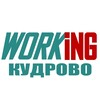 КУДРОВО Работа