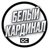 Белый кардинал | Белый арбитраж и маркетинг
