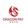 Dragon payment 🐉