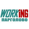 ПАРГОЛОВО Работа