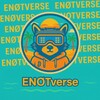 ENØTverse 🦝