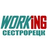 СЕСТРОРЕЦК Работа